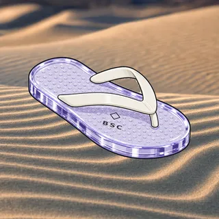 FlipFlops #1521