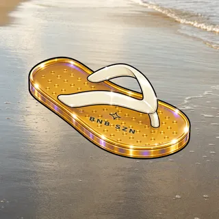 FlipFlops #1532