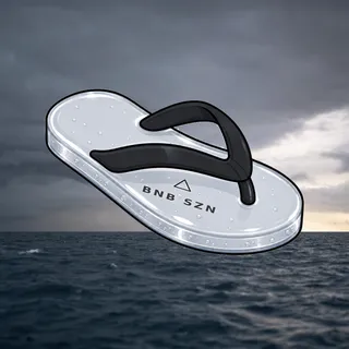 FlipFlops #154