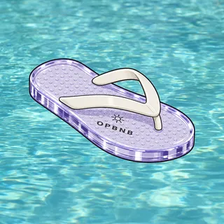 FlipFlops #1543