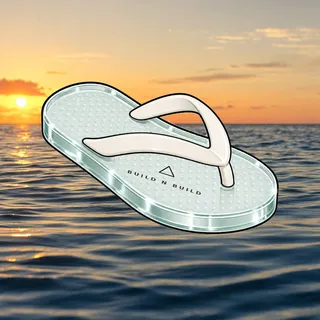 FlipFlops #1546