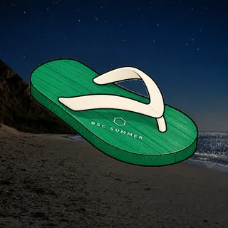 FlipFlops #1554