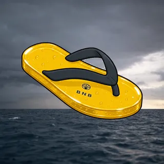 FlipFlops #1568