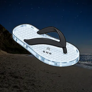 FlipFlops #1571