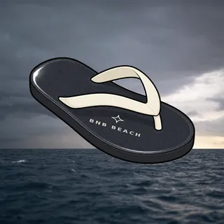 FlipFlops #1580