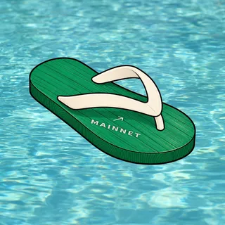 FlipFlops #1582