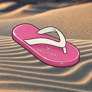 FlipFlops #159