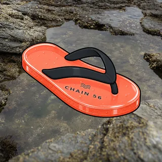 FlipFlops #1590