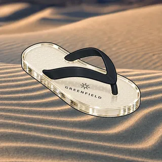 FlipFlops #1591