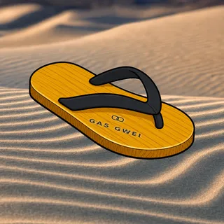 FlipFlops #1592