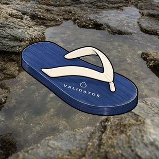 FlipFlops #1593