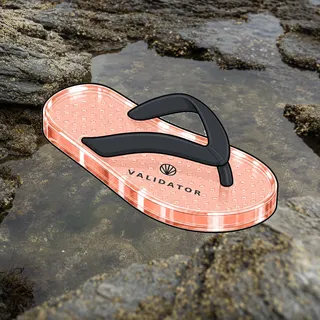 FlipFlops #160
