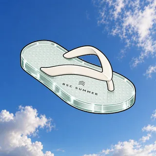 FlipFlops #1603