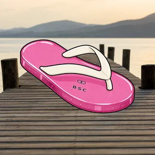 FlipFlops #1608