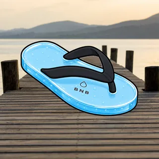 FlipFlops #1609