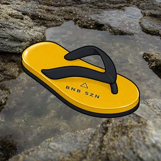 FlipFlops #1610