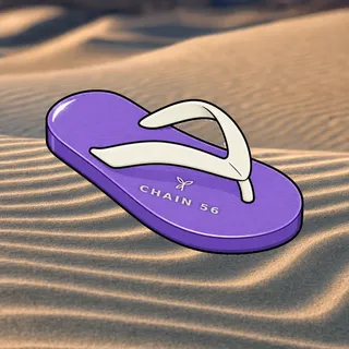 FlipFlops #1615