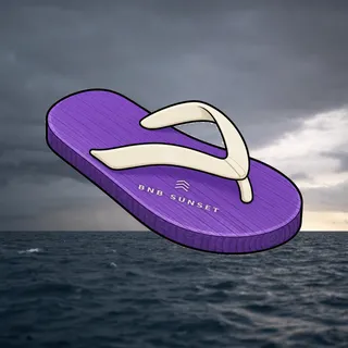FlipFlops #1635