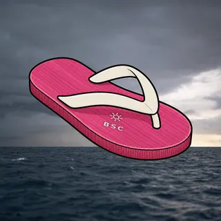 FlipFlops #1639