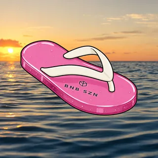 FlipFlops #1643