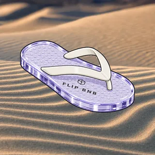 FlipFlops #1659