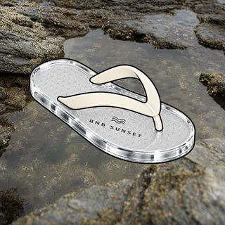 FlipFlops #166
