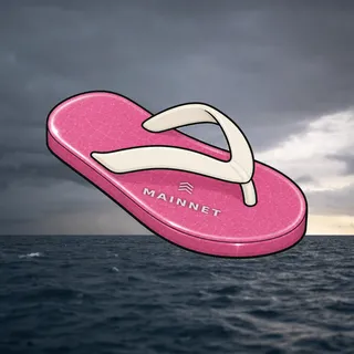 FlipFlops #1667