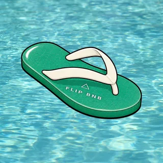 FlipFlops #1674
