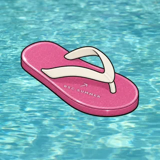 FlipFlops #1694