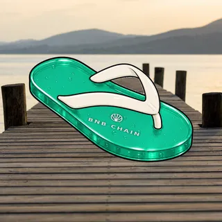 FlipFlops #1696