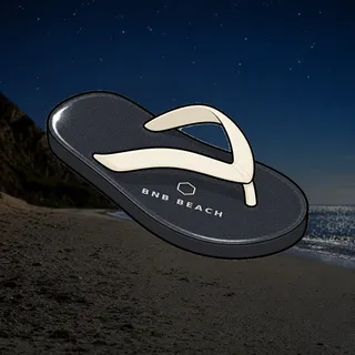 FlipFlops #1698