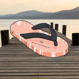 FlipFlops #1699