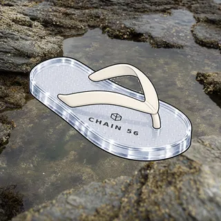 FlipFlops #1707