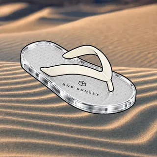 FlipFlops #1723
