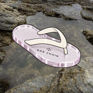 FlipFlops #1724