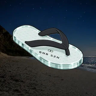 FlipFlops #1736