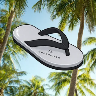 FlipFlops #1738