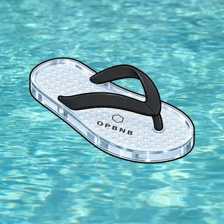 FlipFlops #1746