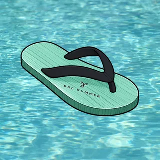 FlipFlops #175