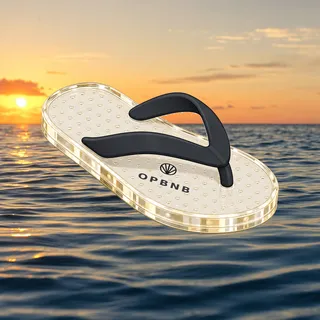 FlipFlops #176