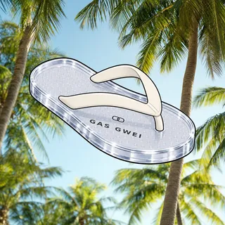 FlipFlops #1768