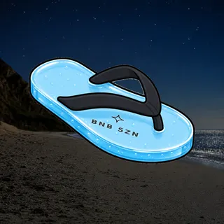 FlipFlops #1772