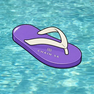 FlipFlops #1789