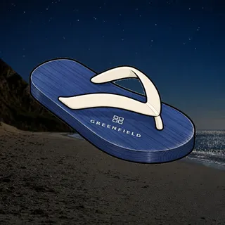 FlipFlops #1805
