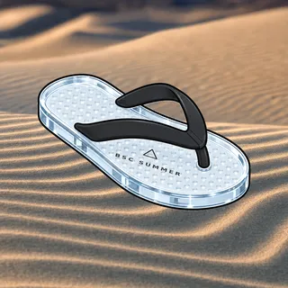FlipFlops #1818