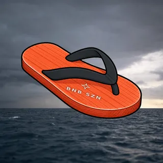 FlipFlops #1820