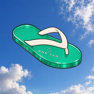 FlipFlops #1849