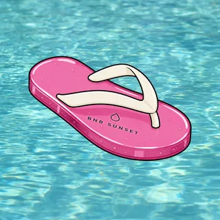 FlipFlops #185