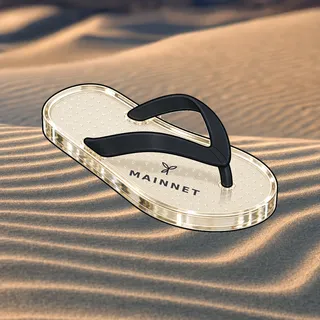 FlipFlops #1855