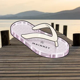 FlipFlops #1859